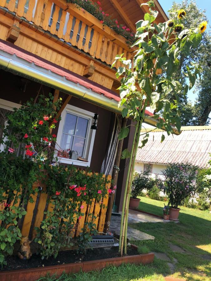 Hero 4 Sterne Ferienhaus Baja Bagian luar foto